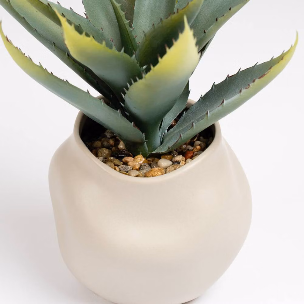 Scottish Everlastings Ltd Green Aloe Succulent in a Square Ceramic Pot, Height: 30 cm, W/D/H: 14.5 x 14.5 x 30 cm – 2
