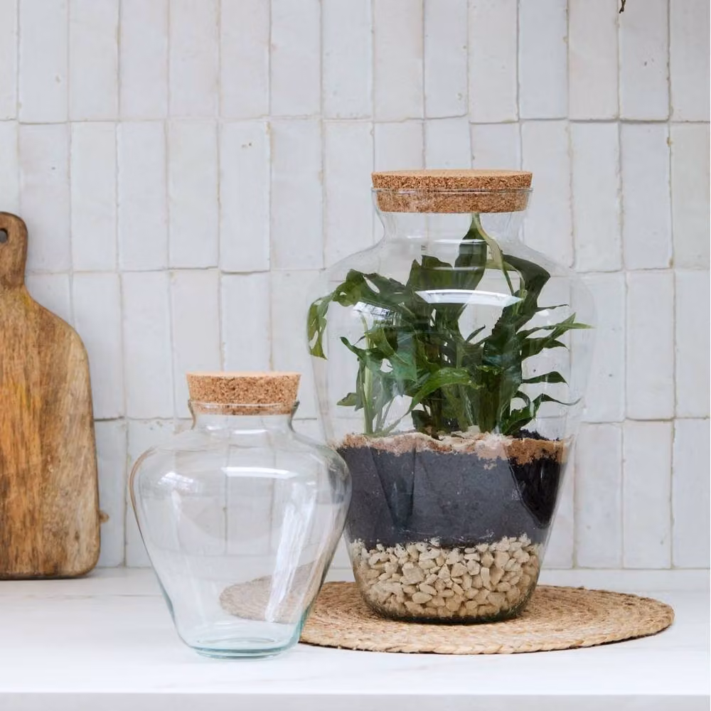 Ivyline Teardrop Glass Terrarium with Cork Lid, Clear, H38.5 x D25 cm – 2