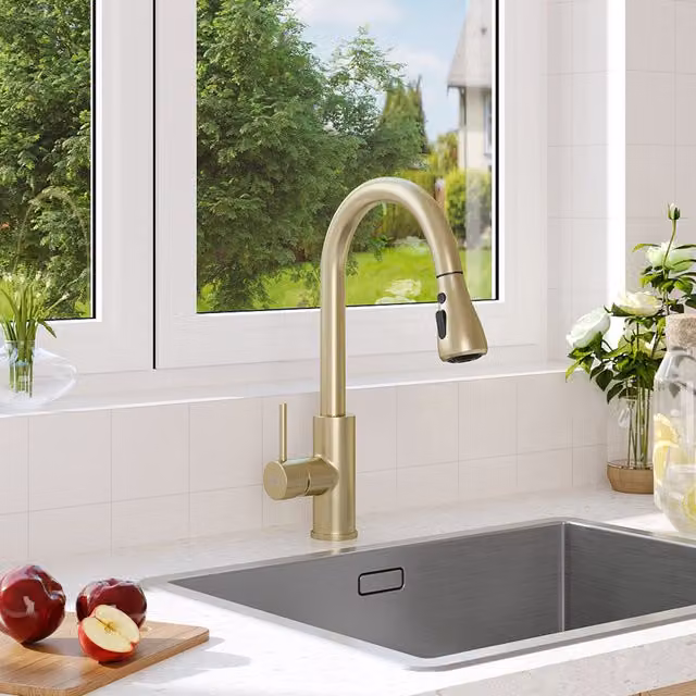Livingandhome Gold Stainless Steel Single Lever Pull-Out Mixer Kitchen Tap with Spray Function