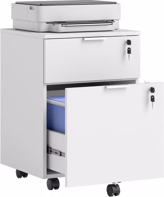 Rolipo Lockable 2-Drawer Metal Filing Cabinet in White with Castors