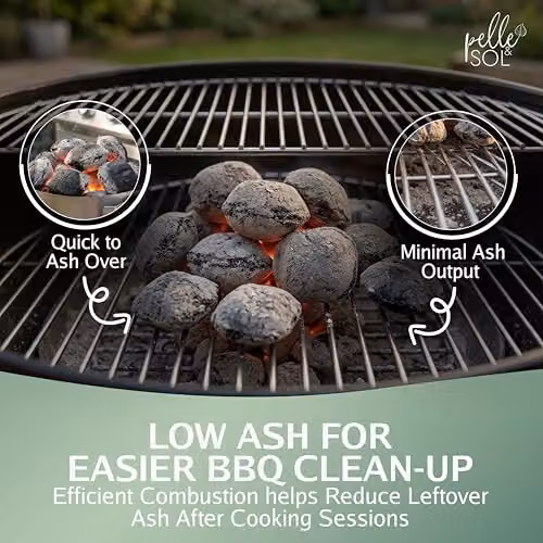 Pelle & Sol Natural Wood Charcoal Briquettes, 10kg Pack – 6