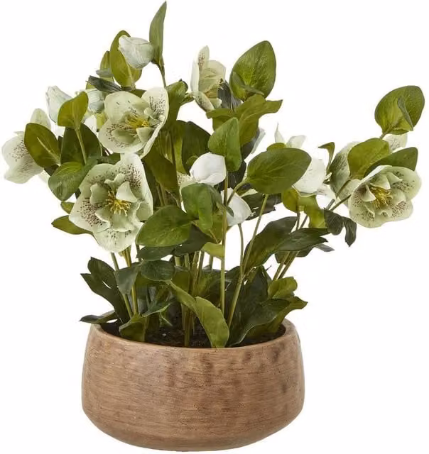 Hill Interiors Hellebore Artificial Potted Plant in Green with Ceramic Pot