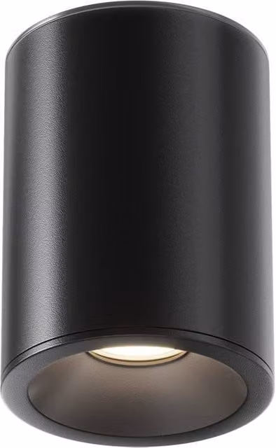 Netlighting Zoom Round Outdoor Surface Mounted Downlight, Black, Diameter: 11.5 cm, IP65, 1xGU10 – 1
