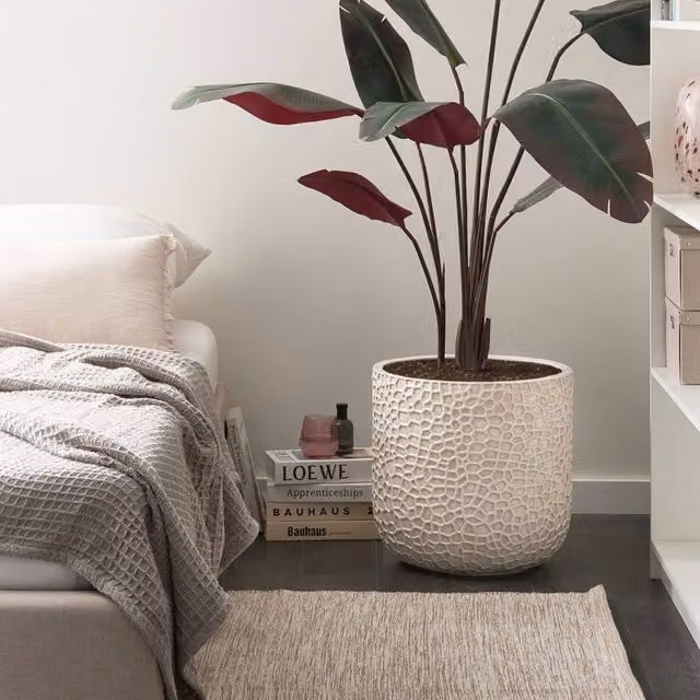 Wyld and Coco Beige Fibre Clay Planter Pot, 43 cm