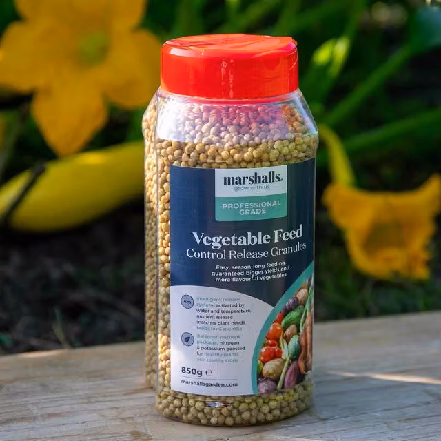 Marshalls Garden Concentrated Slow Release Vegetable Feed Granules, 15 kg