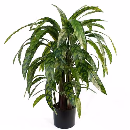 Leaf Design UK Variegated Artificial Calathea Plant in Green, Height: 90 cm – 4