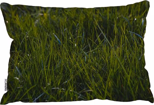 Benjamin Tate Design LTD Rectangular Natural Grass Outdoor Cushion in Green