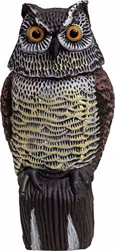 St Helens Home & Garden Life-Sized Decoy Owl with Rotating Head in Multicolour – 1