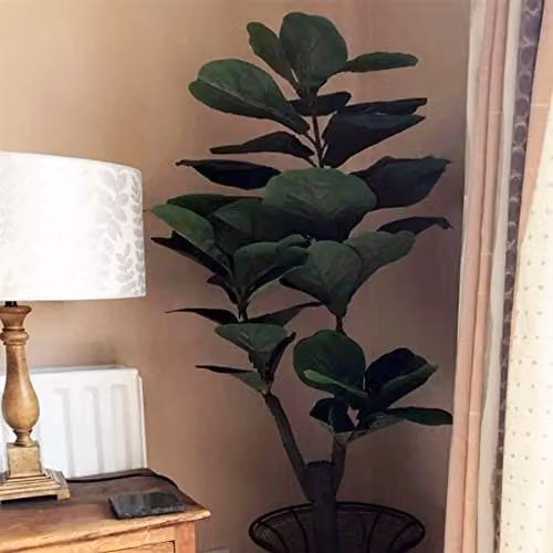 Leaf Design UK Large Artificial Fiddle Fig Tree, Green, Height: 120 cm – 1