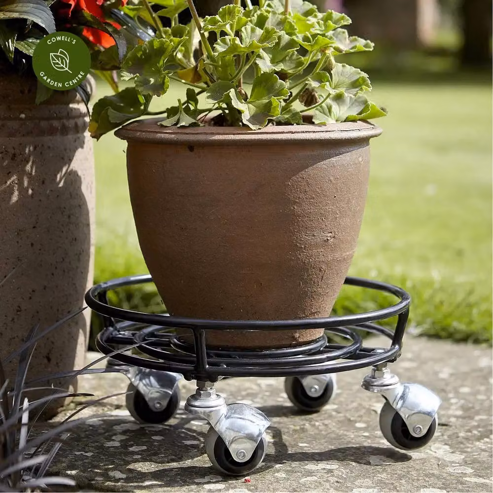 Tom Chambers Bloom Pot Caddy Stand, Black Steel, Diameter: 37 cm – 2