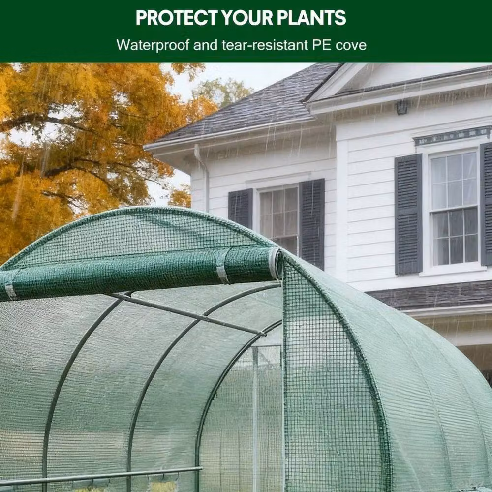 FLAVORA Green Poly Tunnel Greenhouse with Steel Frame and Windows, W/D/H: 3 x 2 x 2 m – 2
