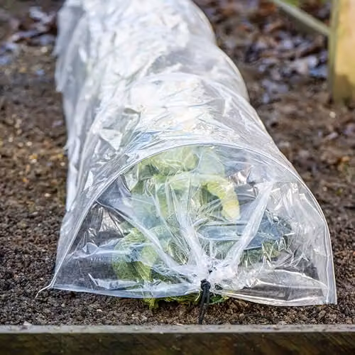 Garden Gear Transparent PE Greenhouse Grow Tunnel with Galvanised Steel Hoops, W/H/D: 300 x 45 x 45 cm – 2