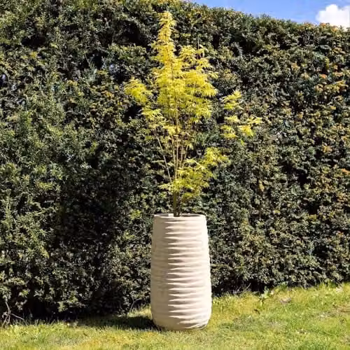 Primrose Tall Round Ribbed Terracotta Planter in Beige, Height: 59 cm – 1