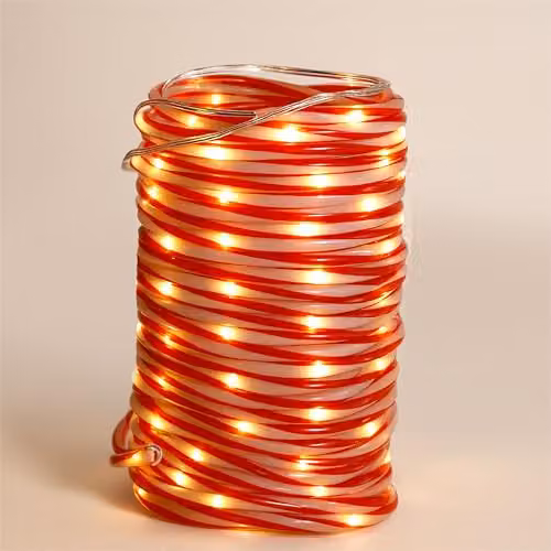 mysmartbuy 10 m Battery Operated LED Rope Light in Red and Multicolour with Controller for Christmas and Winter Displays – 2