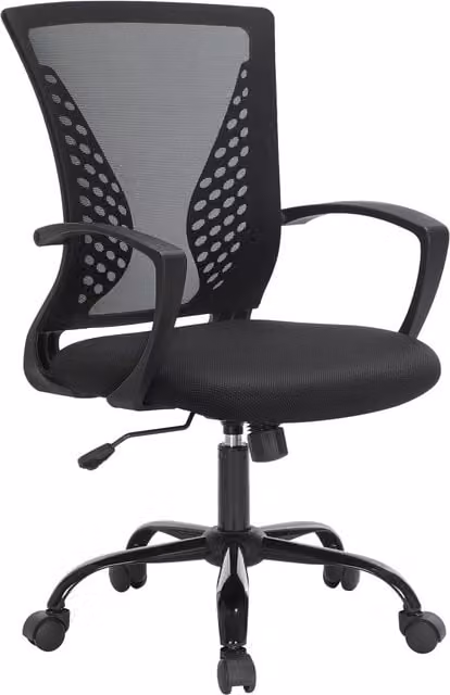 SONGMICS Ergonomic Office Chair in Black with Armrests