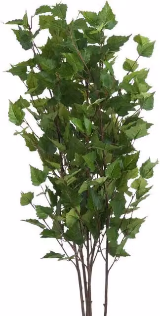 Hill Interiors Artificial Green Branch Spray