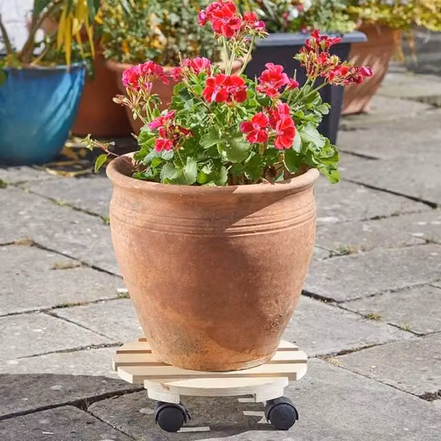 Marco Paul Beige Plant Caddy with Caster Wheels and 30 cm Diameter Planter Base – 1
