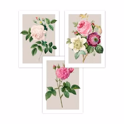 ARTZE Set of 3 Boho Floral Pink and White Rose Art Posters in Beige, W: 30 cm x H: 42 cm – 2