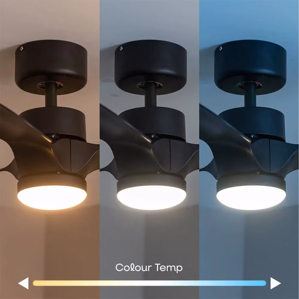 ValueLights 24 inch LED Ceiling Fan with Remote Control and Timer in Black – 5