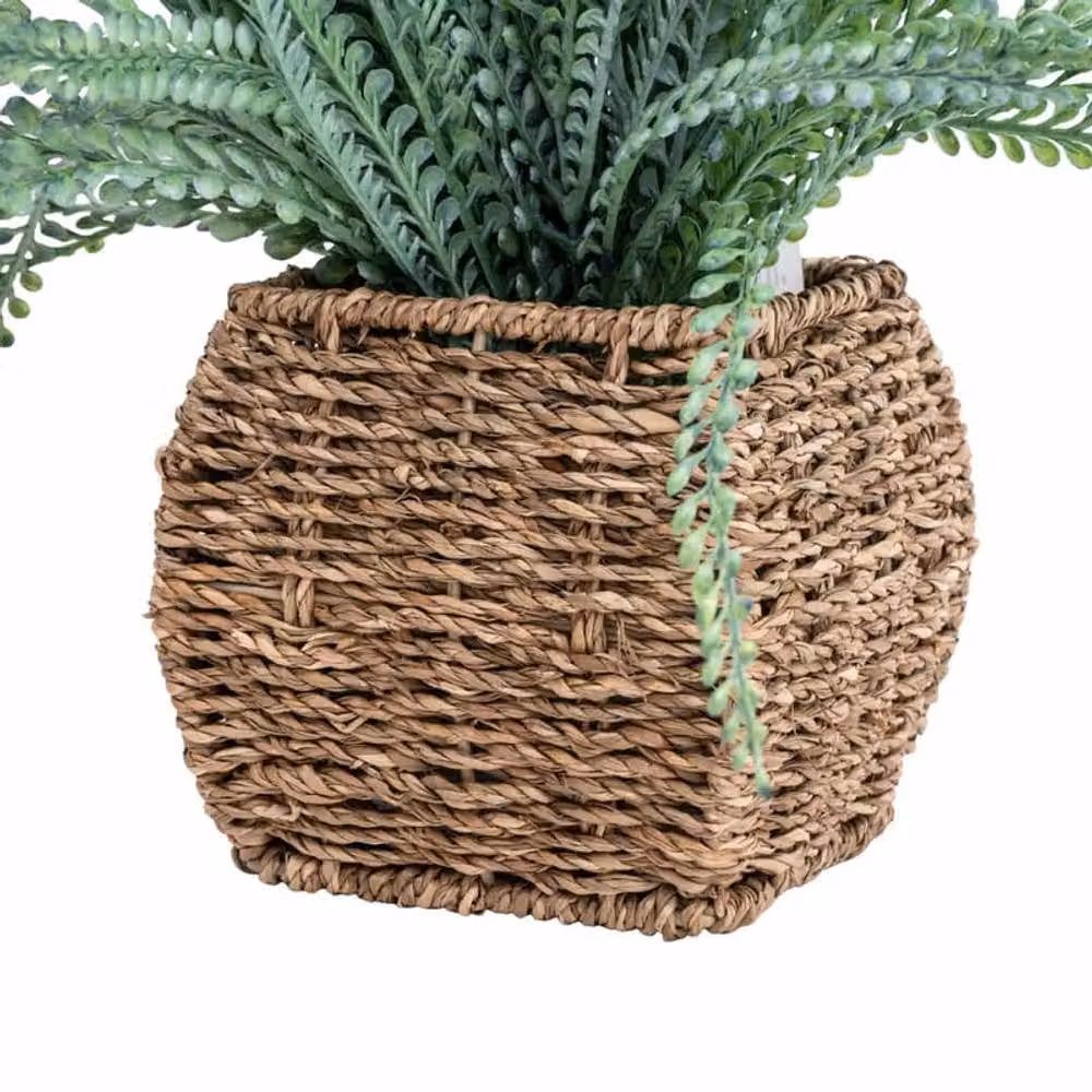 Madison & Mayfair Artificial Green Fern in a Rustic Rattan Seagrass Basket – 3