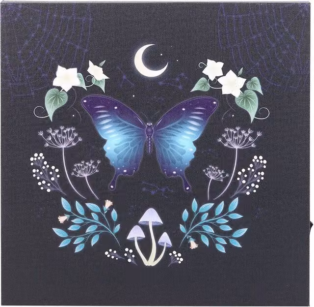 Something Different Midnight Moth Light Up Multicolour Canvas