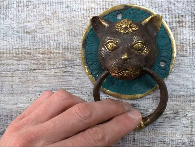 Classic Brass Cat Head Door Knocker in Gold