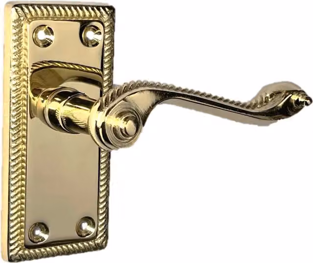 Betley Butterfly Polished Brass Lever Door Handles in Gold/Yellow