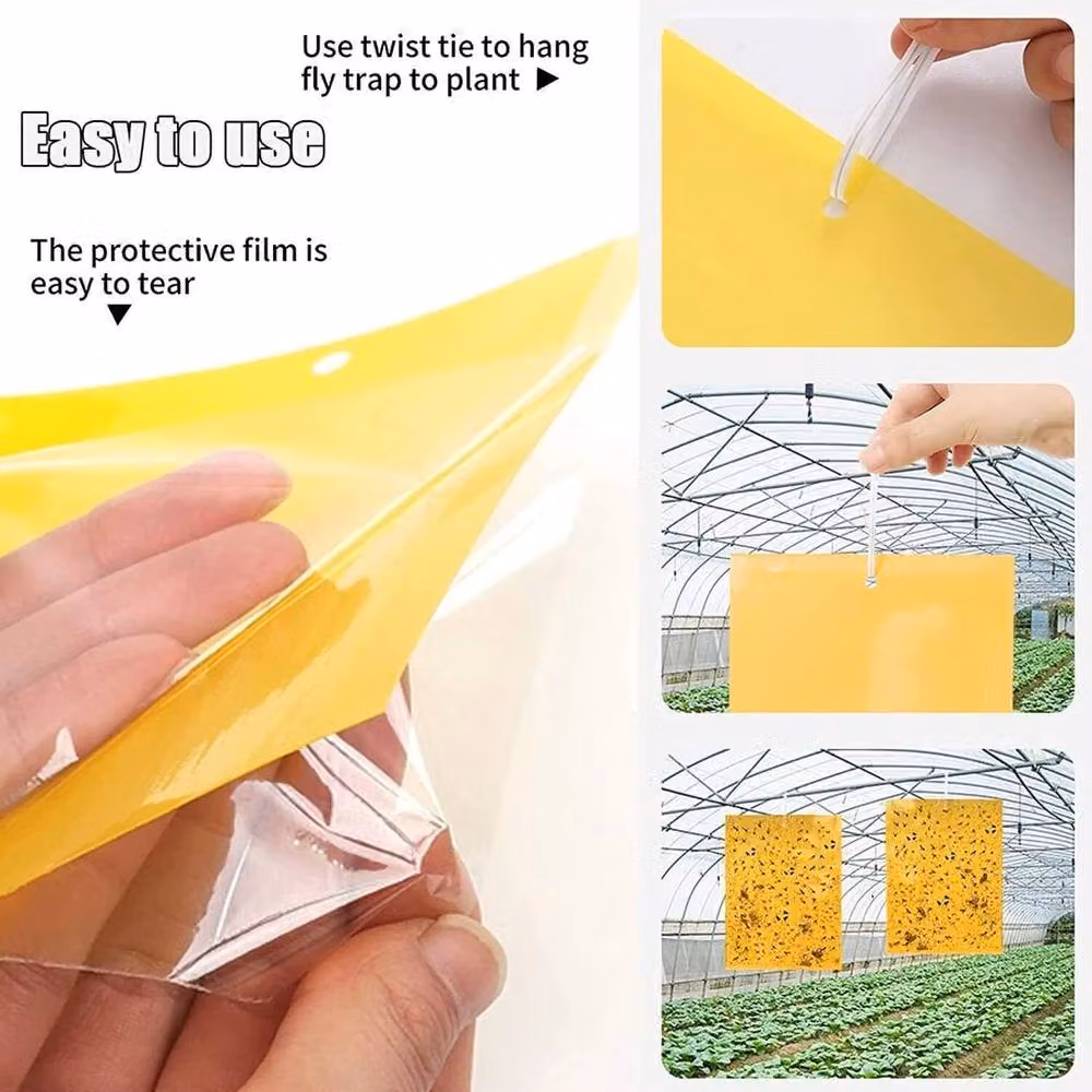 Spetlek 20-Piece Yellow Sticky Fly Trap Paper for Fruit Flies and Insects, W: 15 cm, L: 100 cm – 4