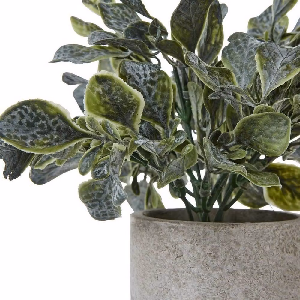 Lemon Pavilion Furniture and Decor Small Giana Eucalyptus Potted Plant in Green and Grey, Height: 20 cm – 2