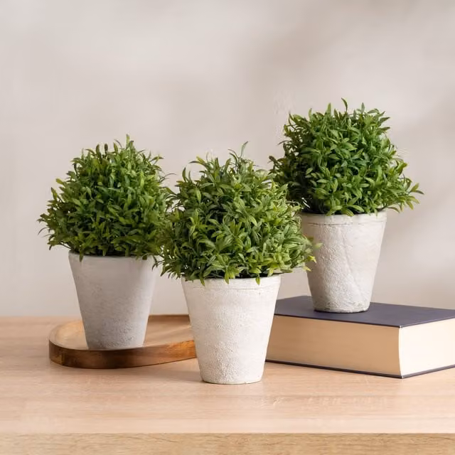 Scottish Everlastings Ltd Set of 3 Green Topiary Plants in Round Concrete Pots – 1
