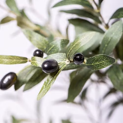 Garden Gear Green Artificial Mediterranean Olive Tree, 150 cm Tall Faux Plant in Pot – 5