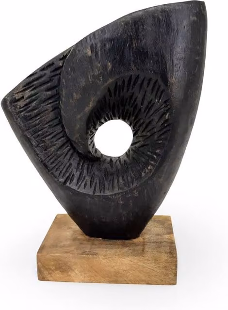 Elm Home And Garden Black Abstract Mango Wood Spiral Eye Tabletop Sculpture – 1