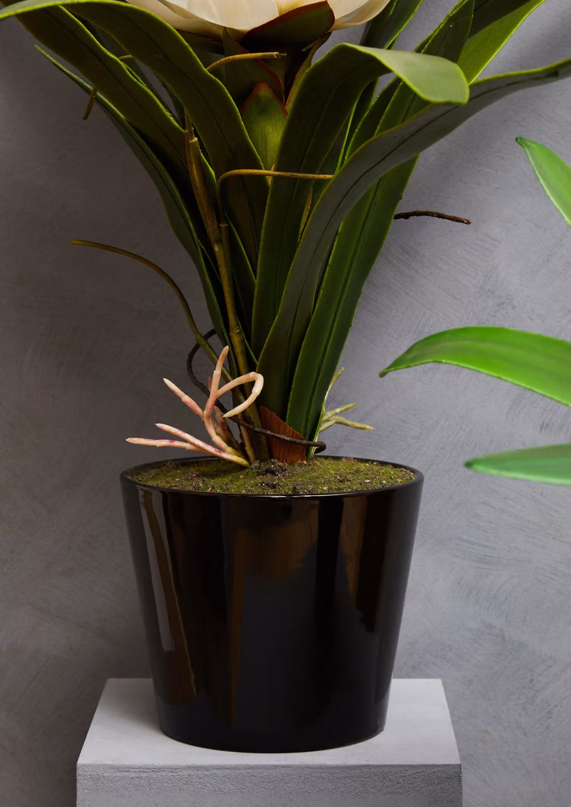 Orsina Fiori White Tropical Potted Faux Plant in Black Ceramic Tabletop Pot – 2
