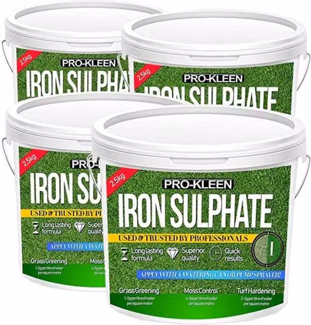 Pro-Kleen Premium Iron Sulphate Liquid Lawn Tonic and Plant Conditioner, 10 l – 1
