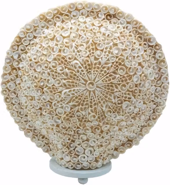 KDMD Boho Sea Shell Tabletop Lamp in Beige and White, Diameter: 30 cm – 1
