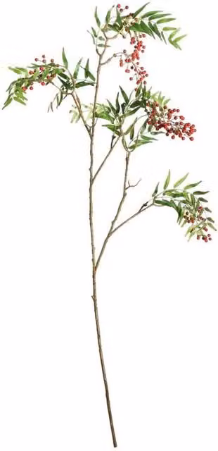 KDMD Red Botanica Berry Branch, Height: 126 cm