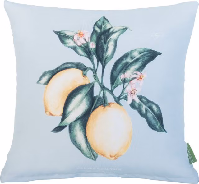 Gardenista Lemon Blue Floral Printed Outdoor Scatter Cushion in Yellow, Blue and Beige