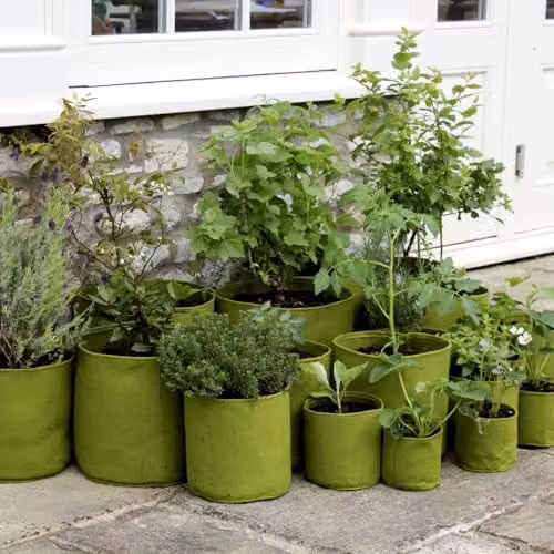 Thompson & Morgan Vigoroot Green Plastic Planter Pots for Vegetable, Herb and Ornamental Gardens, Pack of 3