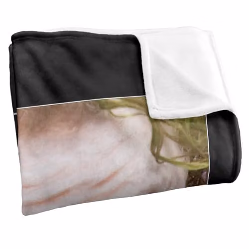 Warner Bros. Dark Knight Joker Silky Touch Super Soft Fleece Throw Blanket, Multicolour, W: 91.44 cm x L: 147 cm – 2