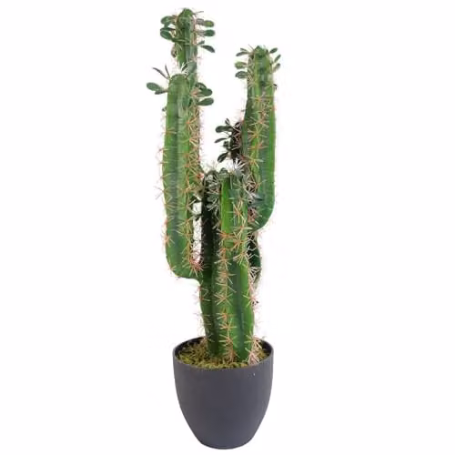 Leaf Design Green Potted Artificial Cactus Succulent, Height: 75 cm