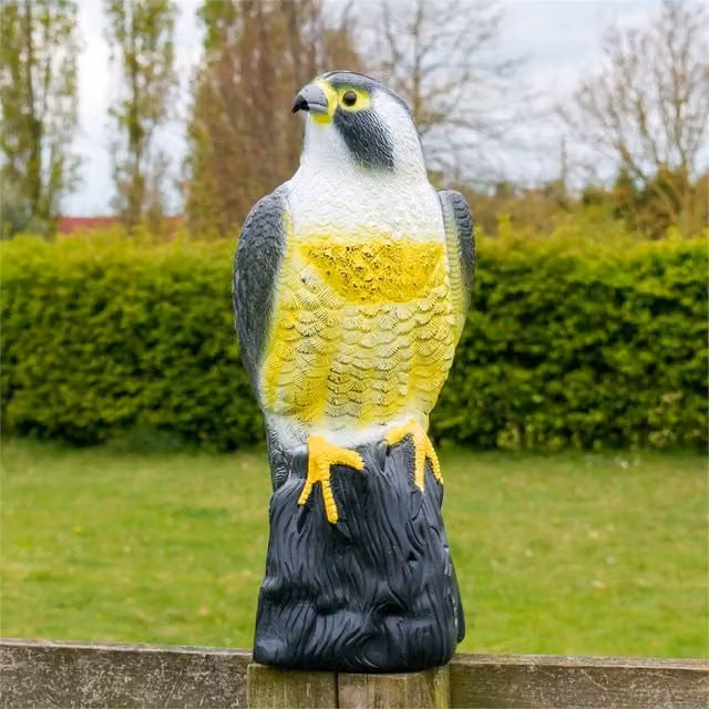 SPETLEK Hawk Pond Garden Decoy Deterrent, Multicolour, 0.6m2