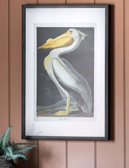 Gallery Direct Inquisitive Pelican Vintage Rectangular Framed Wall Art in Multicolour and Black