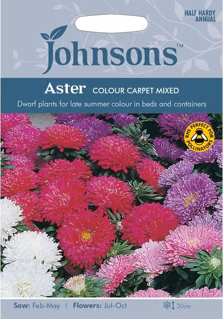 Johnsons Aster Colour Carpet Mixed Multicolour Flower Seeds