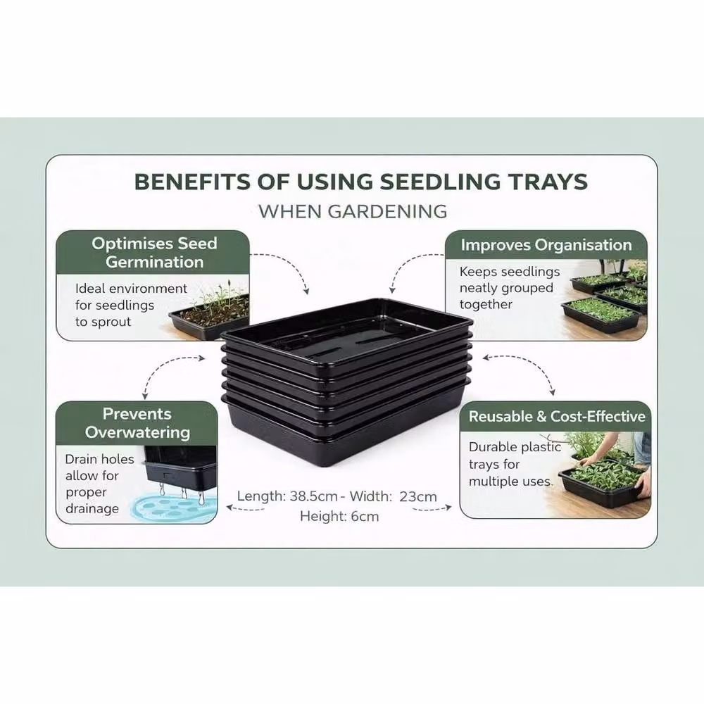 SPETLEK Set of 6 Black Seed Trays with Drainage Holes – 2