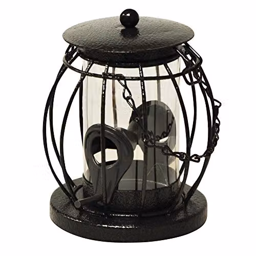 Kingfisher Square Mini Lantern Seed Feeder with Squirrel Guard in Black and Transparent Metal