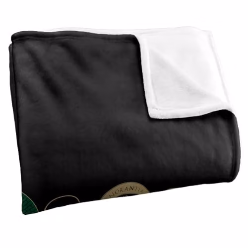 Warner Bros. Harry Potter Ministry of Magic Super Soft Silky Touch Fleece Throw Blanket, Multicolour, W: 91.44 cm x D: 147 cm – 2