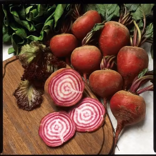 Thompson and Morgan Beetroot Chioggia Seeds, Kew Vegetable Collection, Candy-Striped Heirloom Variety, 50 Seeds – 2