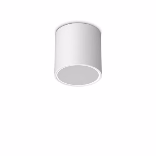 Netlighting Techo 15.3cm Outdoor Surface Mounted Downlight White IP54