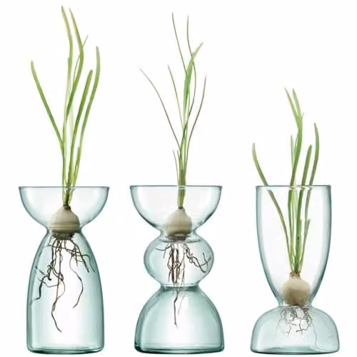 LSA International Canopy Trio Glass Vase Set in Transparent