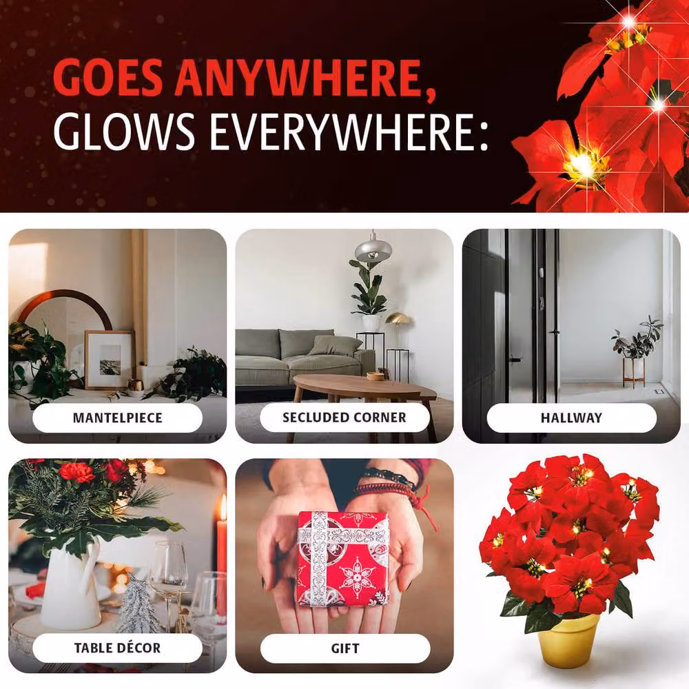 Coopers of Stortford Red and Gold Light-Up Tabletop Potted Poinsettia with Warm White LEDs – 3